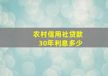 农村信用社贷款30年利息多少