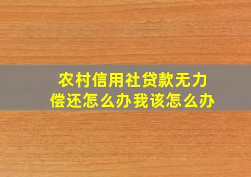 农村信用社贷款无力偿还怎么办我该怎么办