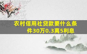 农村信用社贷款要什么条件30万0.3离5利息