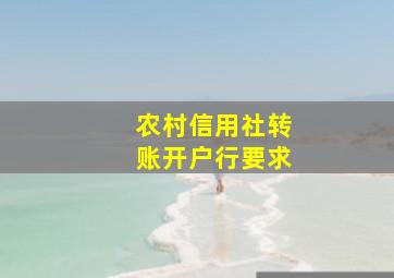 农村信用社转账开户行要求