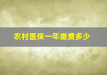 农村医保一年缴费多少