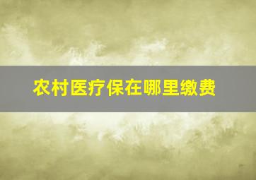 农村医疗保在哪里缴费