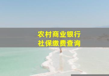 农村商业银行社保缴费查询