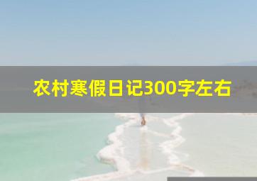 农村寒假日记300字左右