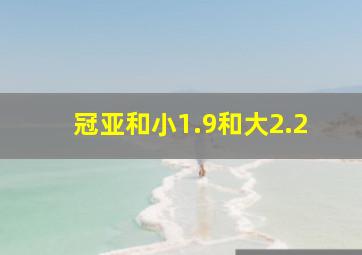 冠亚和小1.9和大2.2