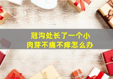 冠沟处长了一个小肉芽不痛不痒怎么办