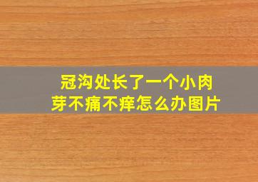 冠沟处长了一个小肉芽不痛不痒怎么办图片