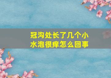 冠沟处长了几个小水泡很痒怎么回事