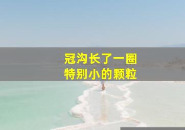 冠沟长了一圈特别小的颗粒