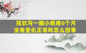 冠状沟一圈小疙瘩6个月没有变化正常吗怎么回事