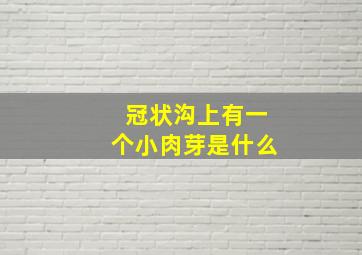 冠状沟上有一个小肉芽是什么