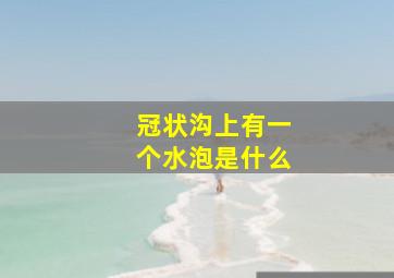 冠状沟上有一个水泡是什么