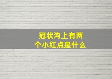 冠状沟上有两个小红点是什么