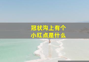 冠状沟上有个小红点是什么