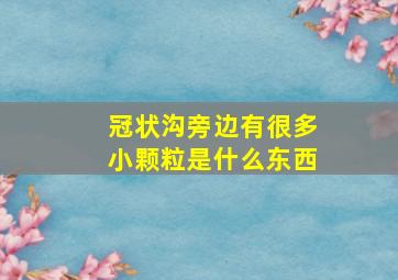 冠状沟旁边有很多小颗粒是什么东西