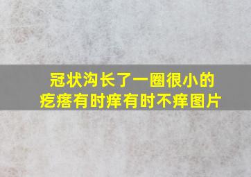 冠状沟长了一圈很小的疙瘩有时痒有时不痒图片