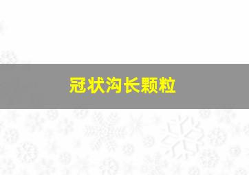 冠状沟长颗粒