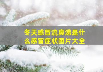 冬天感冒流鼻涕是什么感冒症状图片大全