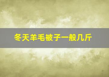 冬天羊毛被子一般几斤