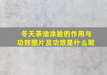 冬天茶油涂脸的作用与功效图片及功效是什么呢