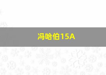 冯哈伯15A