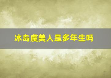 冰岛虞美人是多年生吗