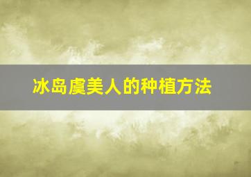 冰岛虞美人的种植方法