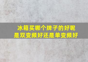 冰箱买哪个牌子的好呢是双变频好还是单变频好