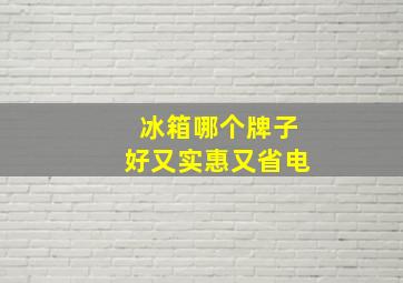 冰箱哪个牌子好又实惠又省电