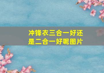 冲锋衣三合一好还是二合一好呢图片