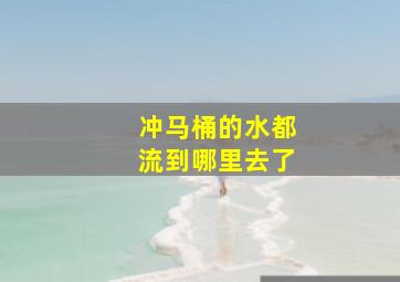 冲马桶的水都流到哪里去了