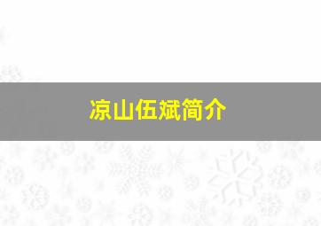 凉山伍斌简介