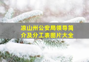 凉山州公安局领导简介及分工表图片大全