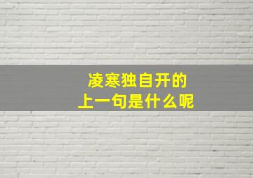 凌寒独自开的上一句是什么呢