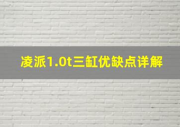 凌派1.0t三缸优缺点详解