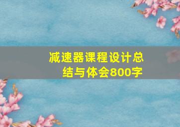 减速器课程设计总结与体会800字