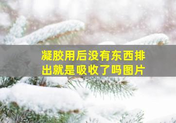 凝胶用后没有东西排出就是吸收了吗图片