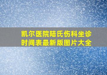 凯尔医院陆氏伤科坐诊时间表最新版图片大全