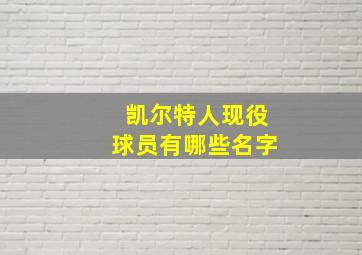 凯尔特人现役球员有哪些名字