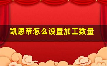 凯恩帝怎么设置加工数量