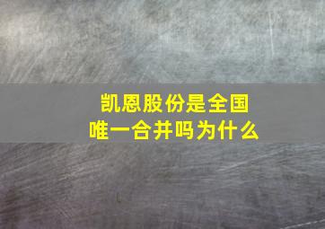 凯恩股份是全国唯一合并吗为什么