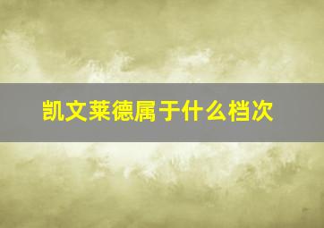 凯文莱德属于什么档次