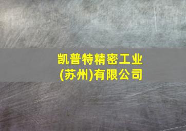 凯普特精密工业(苏州)有限公司