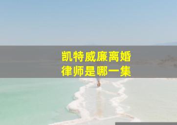 凯特威廉离婚律师是哪一集