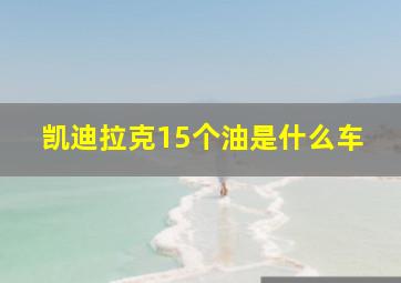 凯迪拉克15个油是什么车