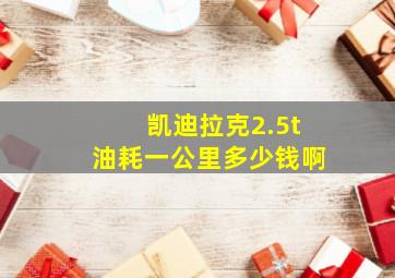 凯迪拉克2.5t油耗一公里多少钱啊