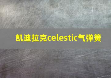 凯迪拉克celestic气弹簧