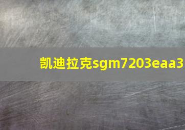 凯迪拉克sgm7203eaa3