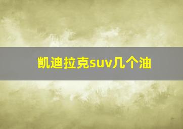 凯迪拉克suv几个油