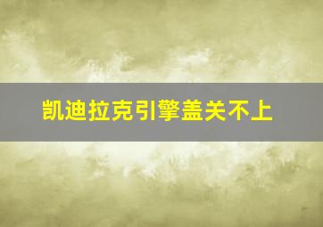 凯迪拉克引擎盖关不上